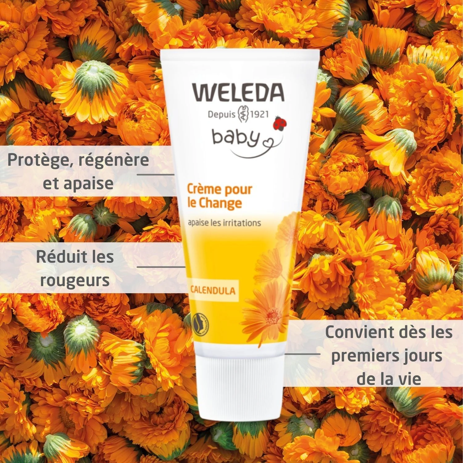 Weleda Crème bébé pour le Change - 75 ml