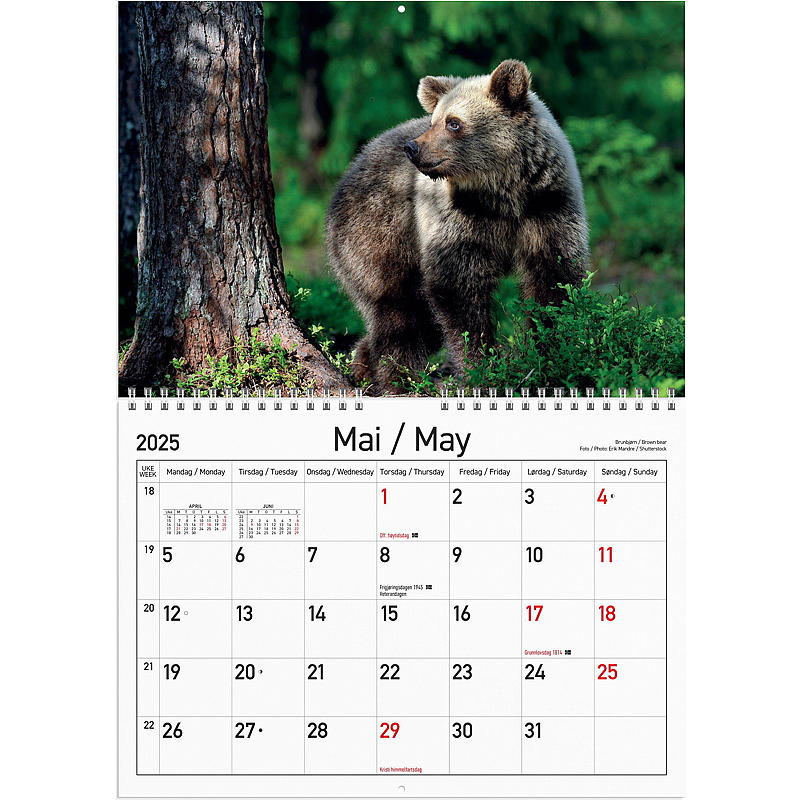 Väggkalender Norska djur 2025