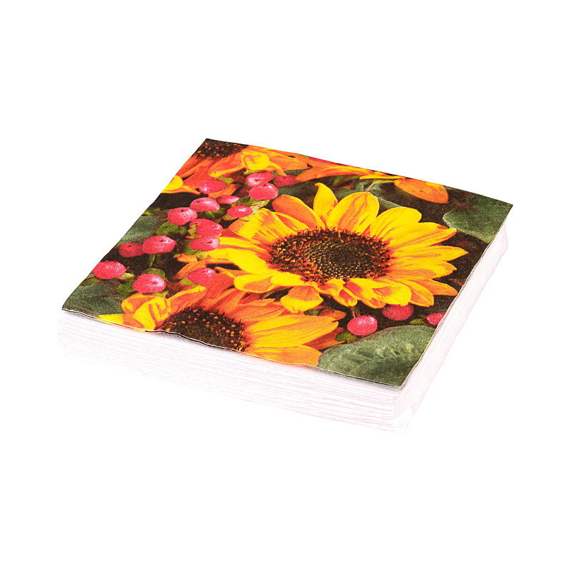 Vie Eco Servetter 20-pack 33x33 cm Höstsäsong