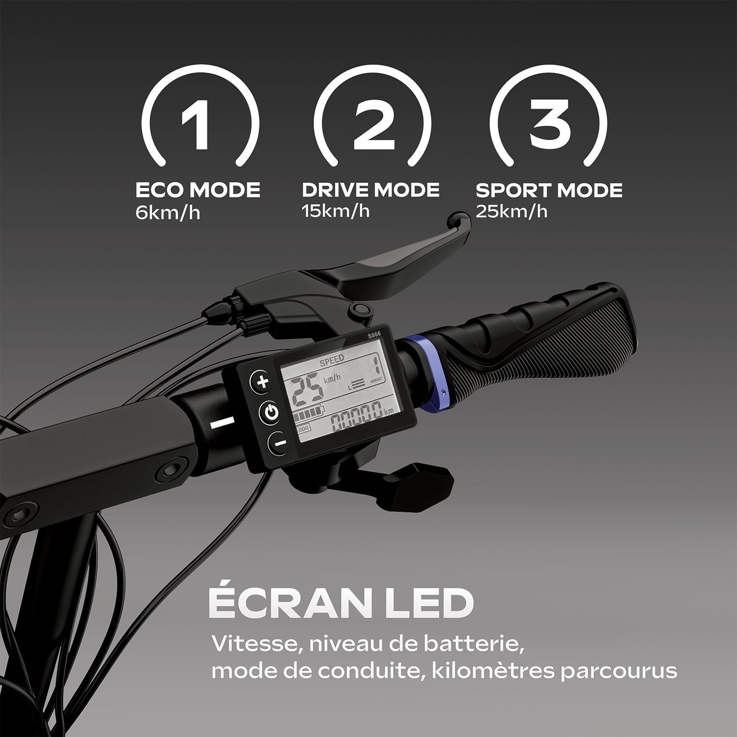 Monopattino elettrico - URBANGLIDE - ECROSS ONE - 800 W - pneumatici da 10