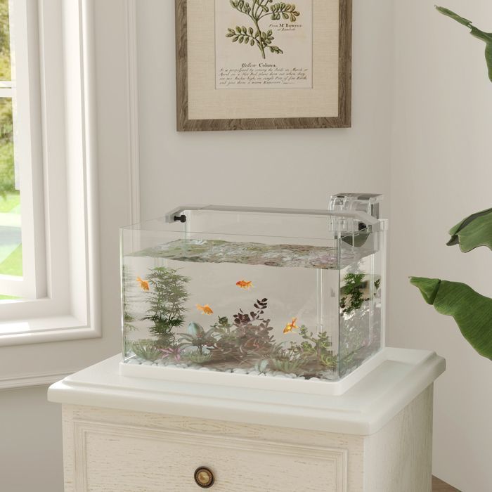 Aquarium - PawHut - avec lumières LED, pompe à filtre - en verre 20L - pour poissons rouges, poissons combattants - blanc