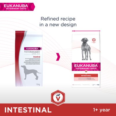Dieta Veterinaria Eukanuba para Adultos con Intestinal