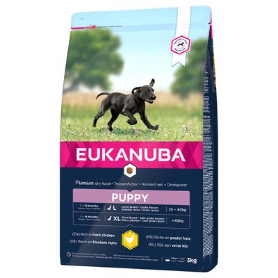 Eukanuba Welpe Große Rasse - Huhn