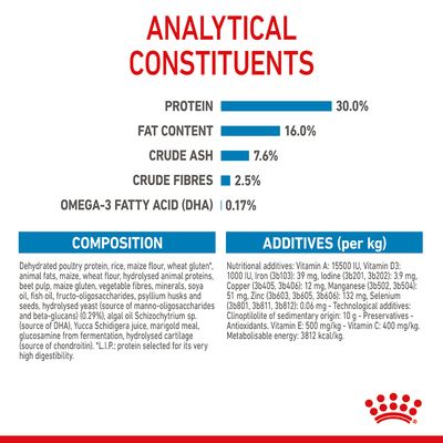 Royal Canin Maxi Puppy