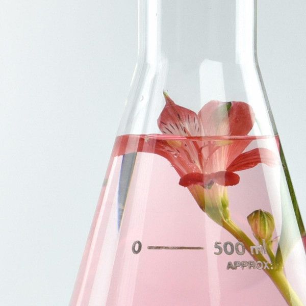 BeautyLab serum protiv starenja Kreme protiv bora i starenja