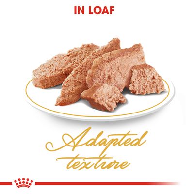 Royal Canin Persian Adult im Laib