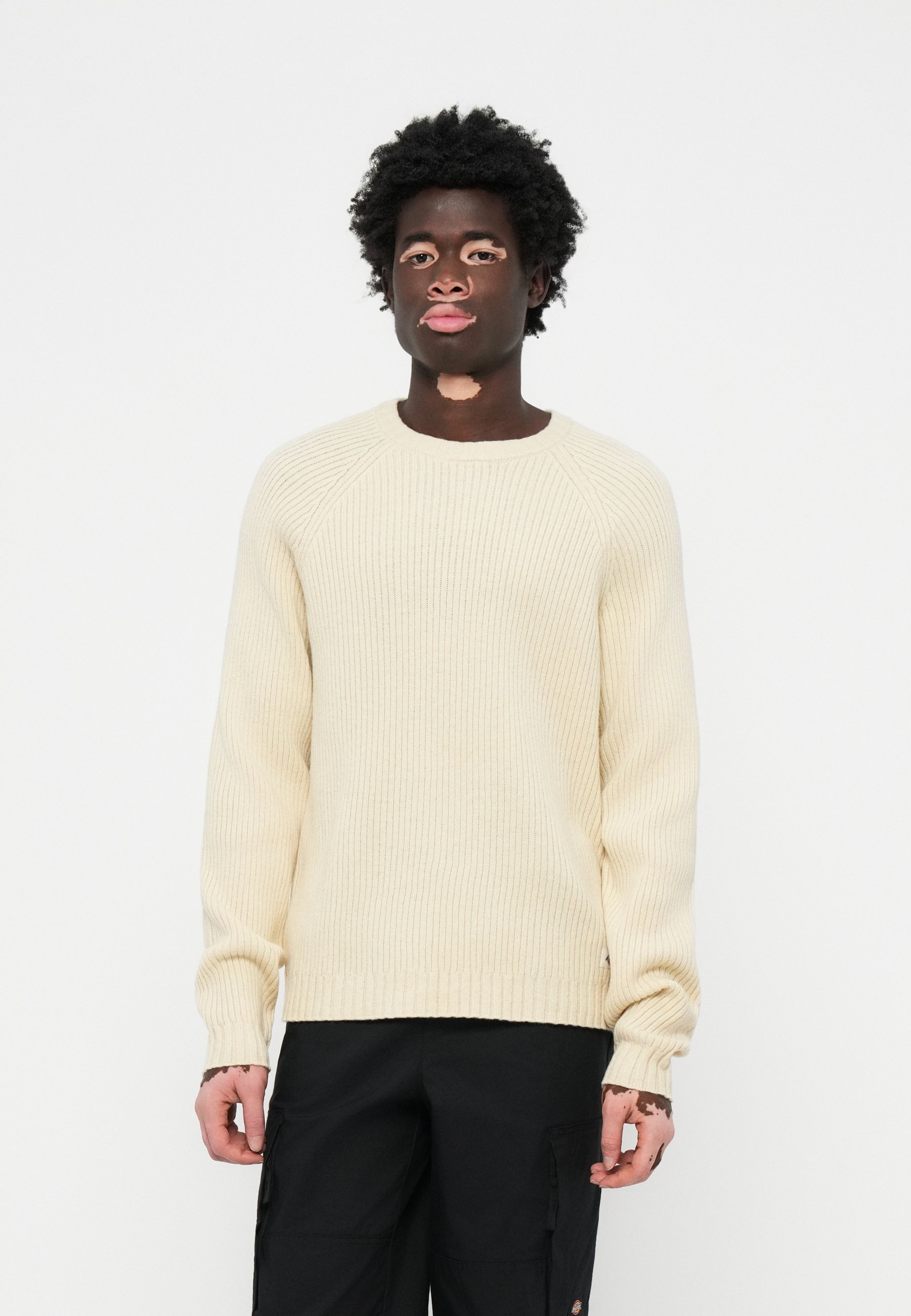 Maglione lavorato a maglia Dickies