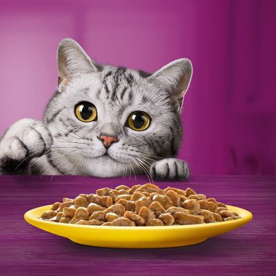 Whiskas 1+ Drůbeží hostina v omáčce