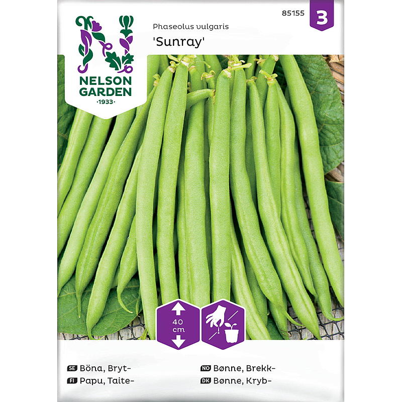 Nelson Garden Seeds Bean Break, Sunray