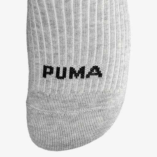 Puma Cat