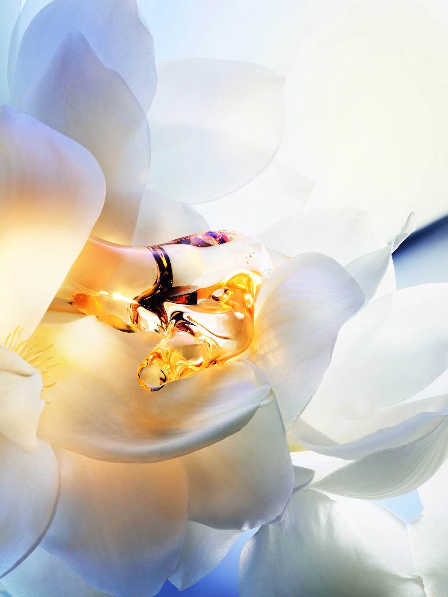 J'adore Parfum d'Eau bezalkoholowy 100 ml - DIOR