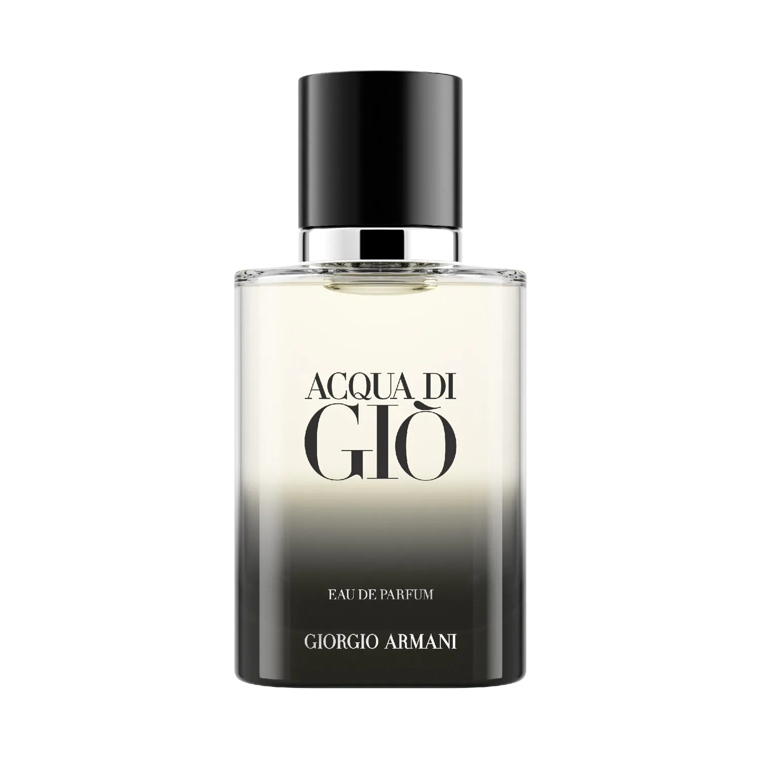 Giorgio Armani Acqua Di Gio Pour Homme