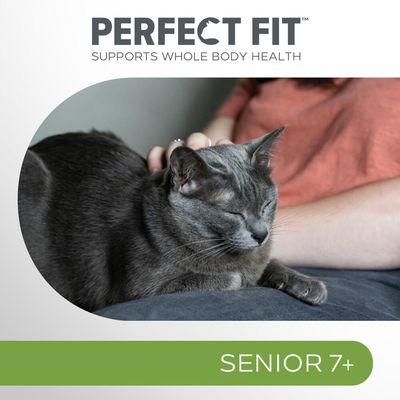 Perfect Fit Senior 7+ Riche en poulet