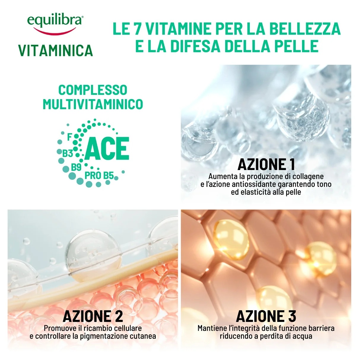 EQUILIBRA Equilibra Gezichtsherstellende Vitamine Ampullen 7x2,5 ml Voor een gezonde gezichtshuid