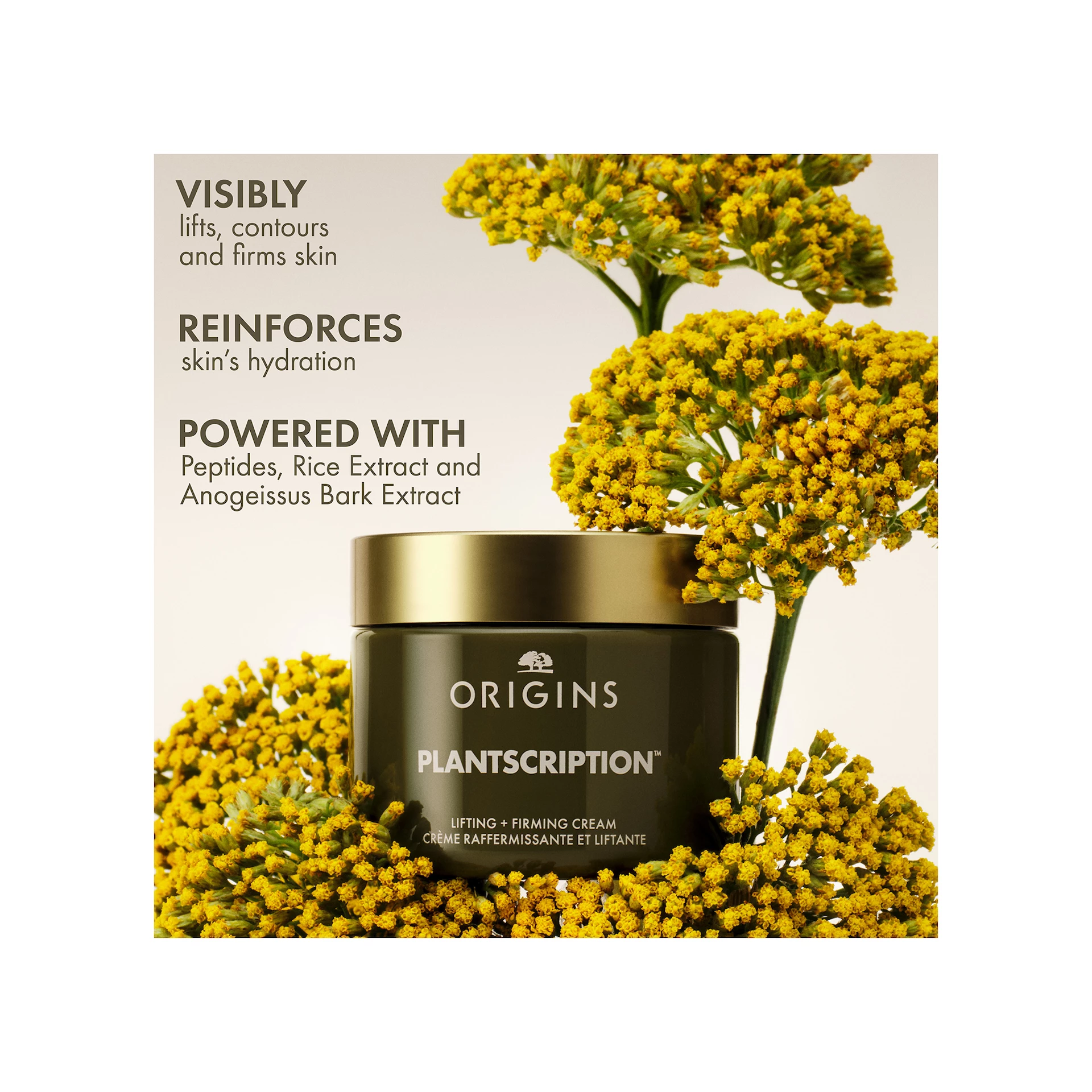 Cremă lifting + fermitate Plantscription 50 ml - Origins