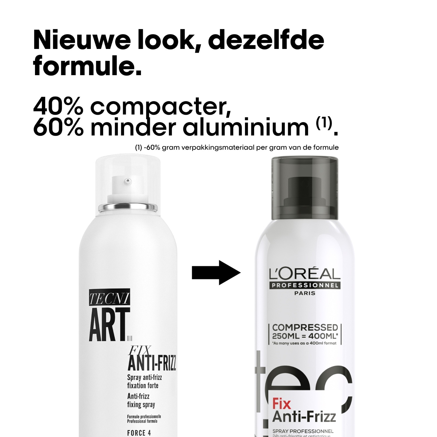 L'Oréal Professionnel plaukų lakas TecniArt Fix Anti-Frizz - 250 ml