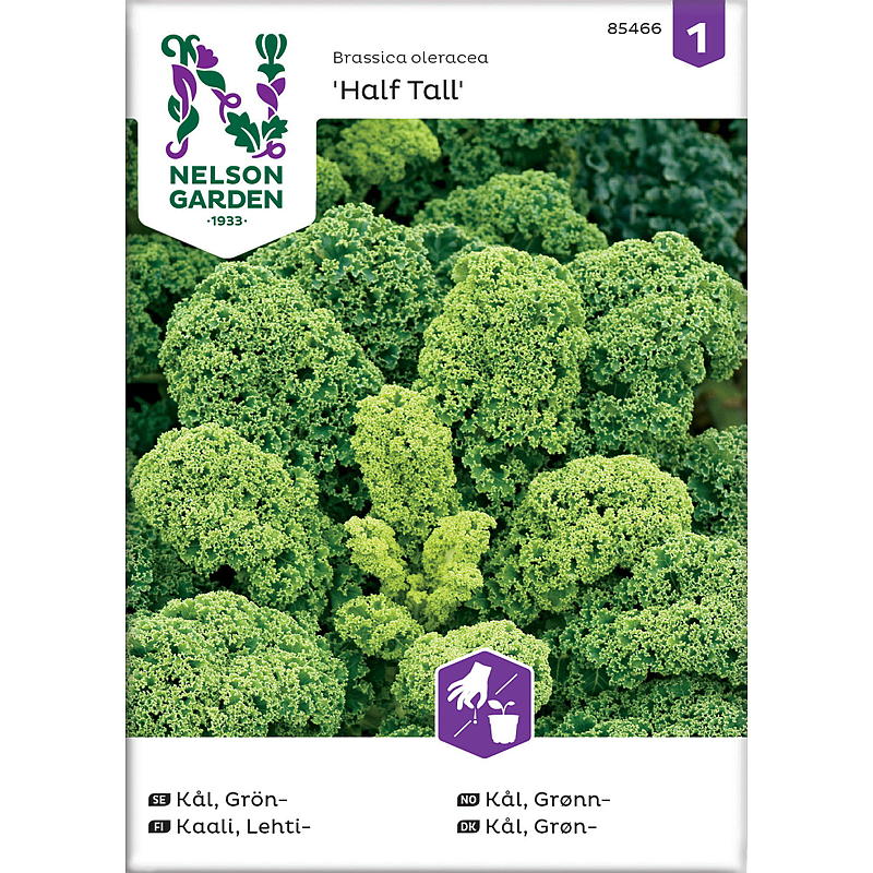 Nelson garden siemenet kaali vihreä, puolikorkea