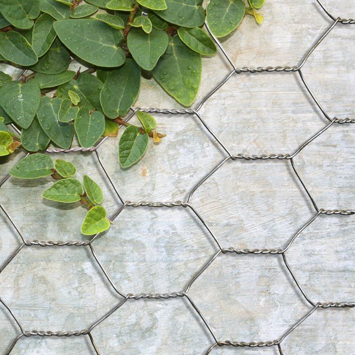 Triple Twist Wire Mesh, Galvanized, Hexagonal Mesh, 25 mm Mesh Size, 50 cm x 25 m
