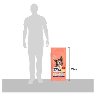 Cane da lavoro adulto BETA