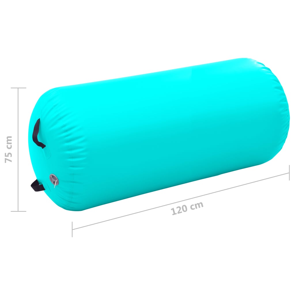 Vidaxl Aufblasbare Gymnastikrolle mit Pumpe 120x75 cm