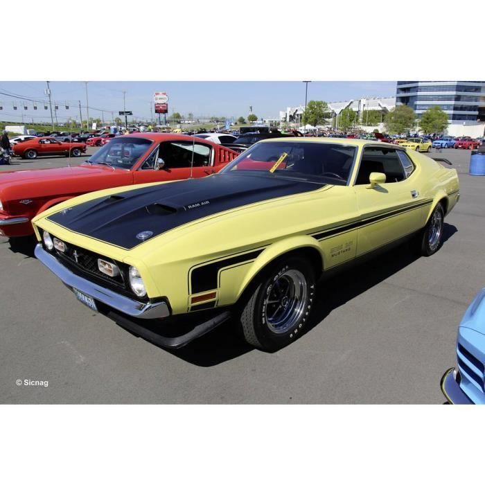 Maquette de voiture - Revell - 71 Mustang Boss 351 - Blanc - Adulte - 15 ans