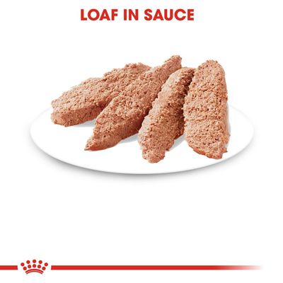 Pane sterilizzato Royal Canin