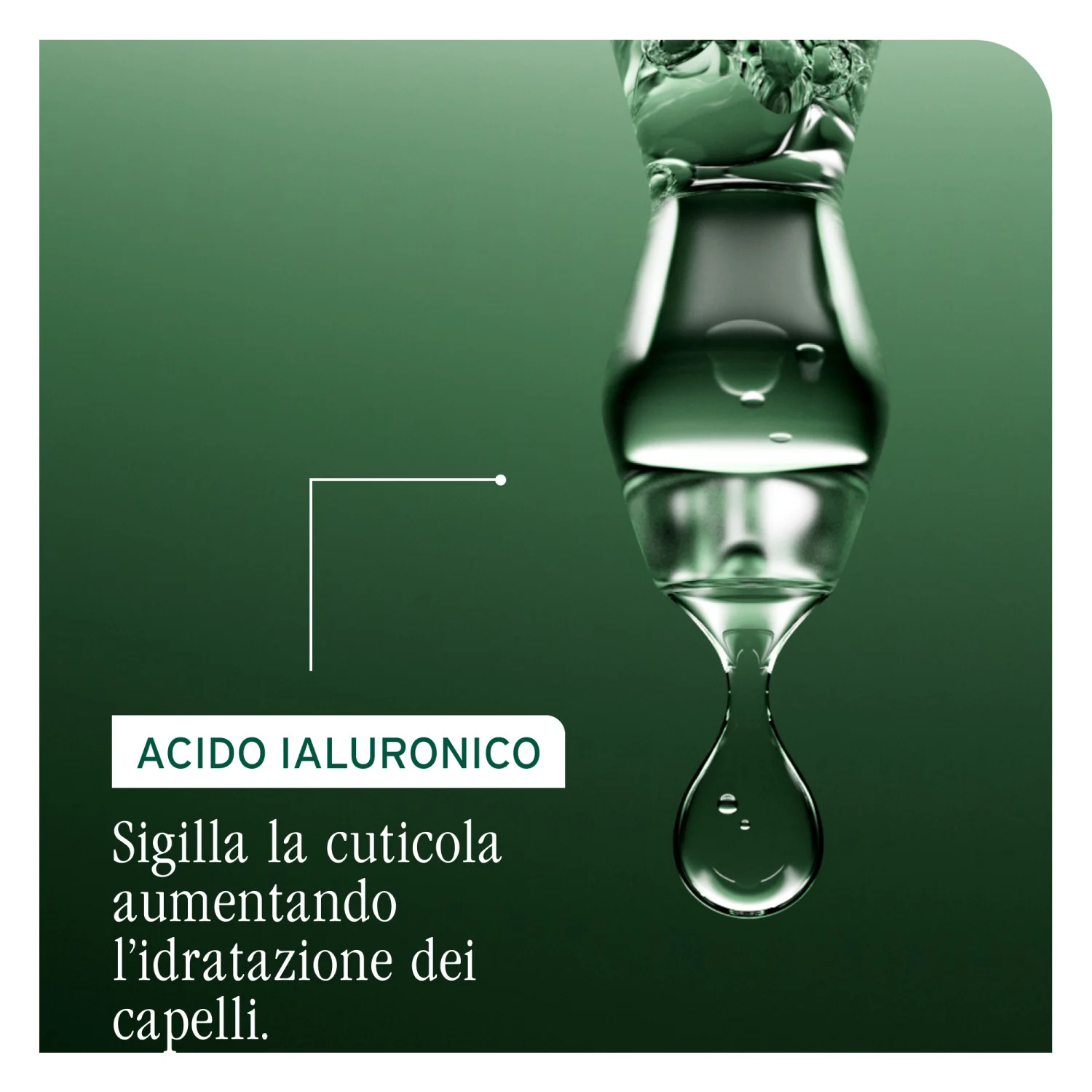 HydraSource Shampoo - Shampoo Delicato