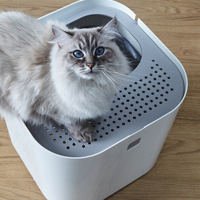 Modko ModKat kattesande