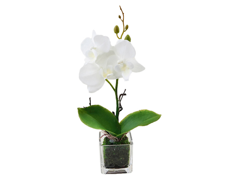 Sztuczna orchidea w doniczce 24 cm biała