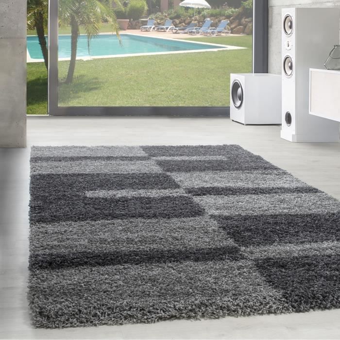 Alfombra de pelo largo para salón - CELINE - Gris - 120 x 170 cm - 100 % polipropileno - SIMPEX
