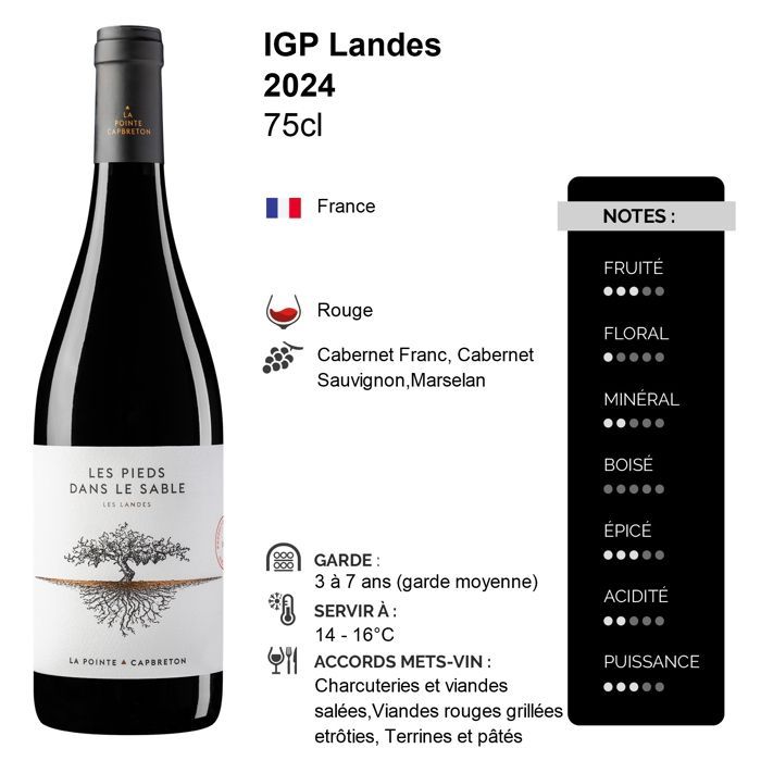 Domaine de la Pointe Landes Les Pieds dans le Sable 2024 - Red Wine from the Southwest (6x75cl)