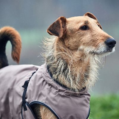 HUNTER Uppsala Hundemantel