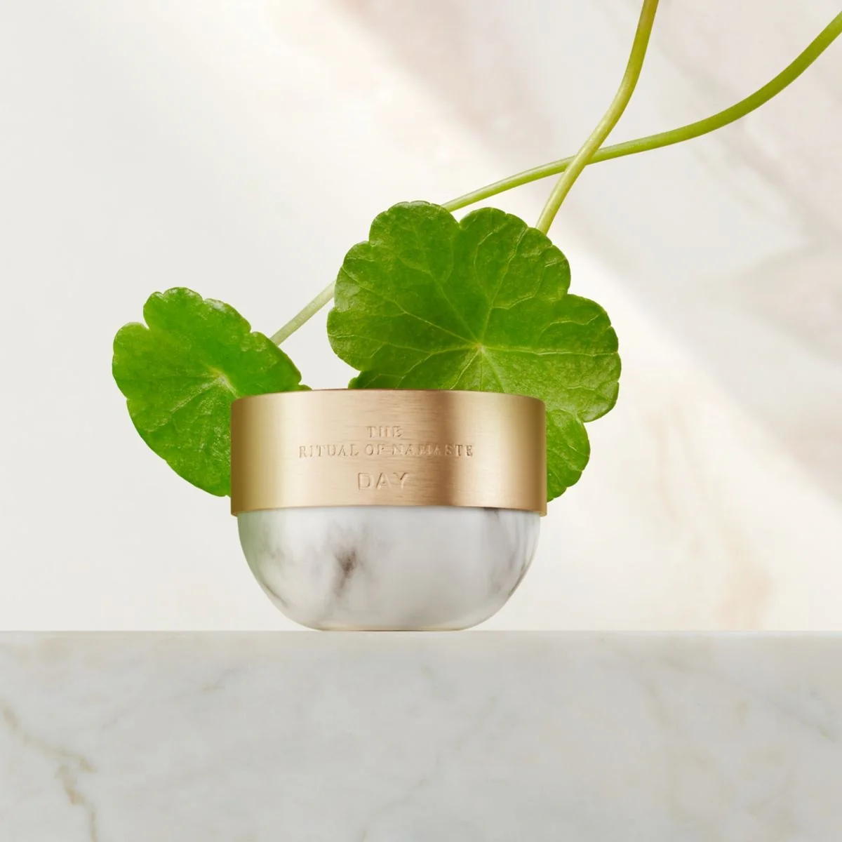 The Ritual of Namaste Ageless Firming Day Cream - Crema viso giorno antirughe