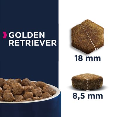 Eukanuba Golden Retriever (Erwachsener)