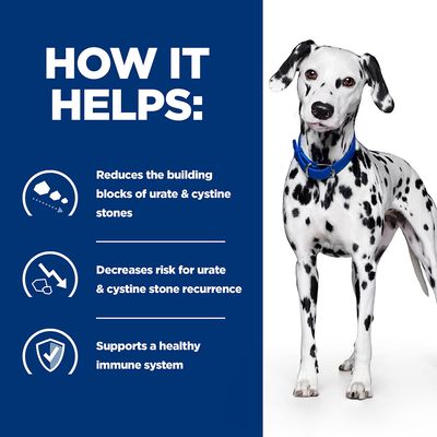 Hill's Prescription Diet Canine u/d Urinary Care