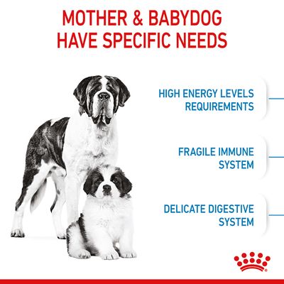 Royal Canin Giant Starter Mother & Babydog
