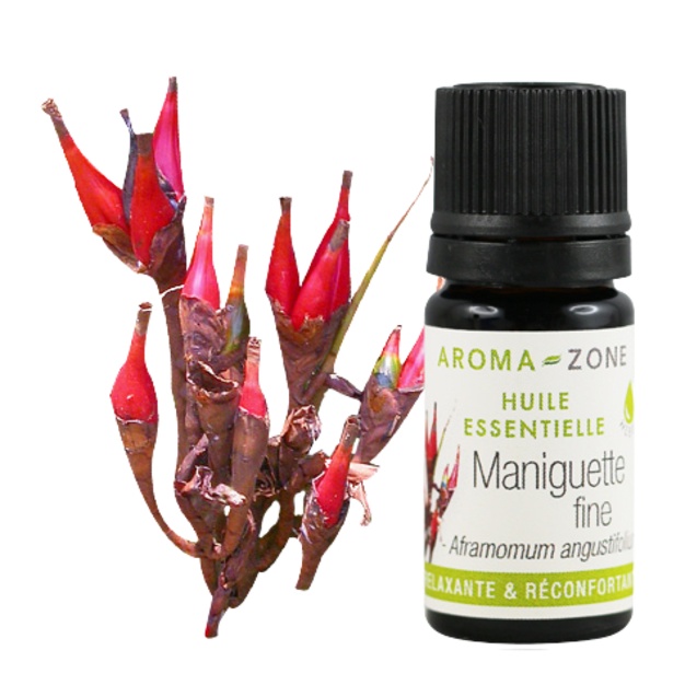 Organiczny olejek eteryczny Fine Grains of Paradise