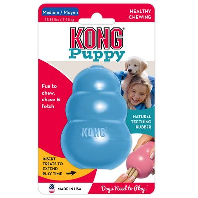 Hvalp KONG