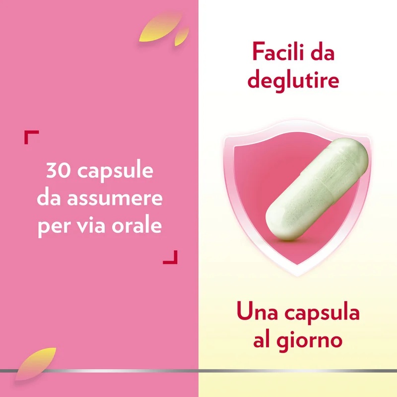 GYNOCANESTEN Gyno Canesflora Probiótico 30 cápsulas Cuidado íntimo para mujeres
