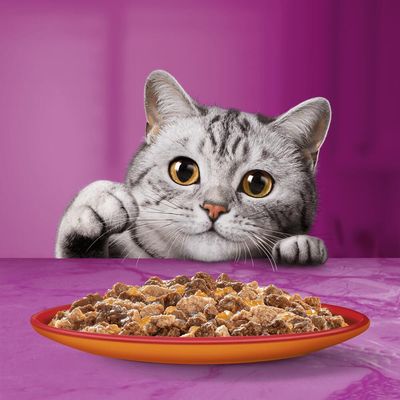 Whiskas 1+ Duo Húsos Kombók Zselében