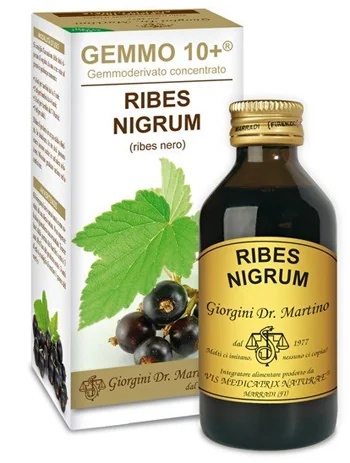 DR. GIORGINI Dr. Giorgini Gemmo 10+ zwarte bes alcoholvrij 100 ml Geschikt voor veganisten