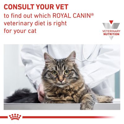 Royal Canin Veterinary Cat - Magen-Darm-Insulin in Soße