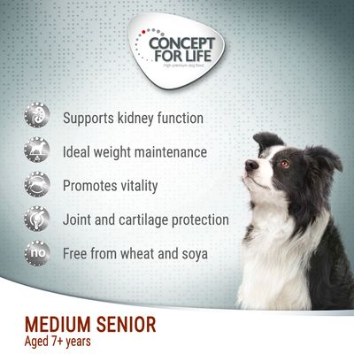 Concept pour la vie moyenne senior