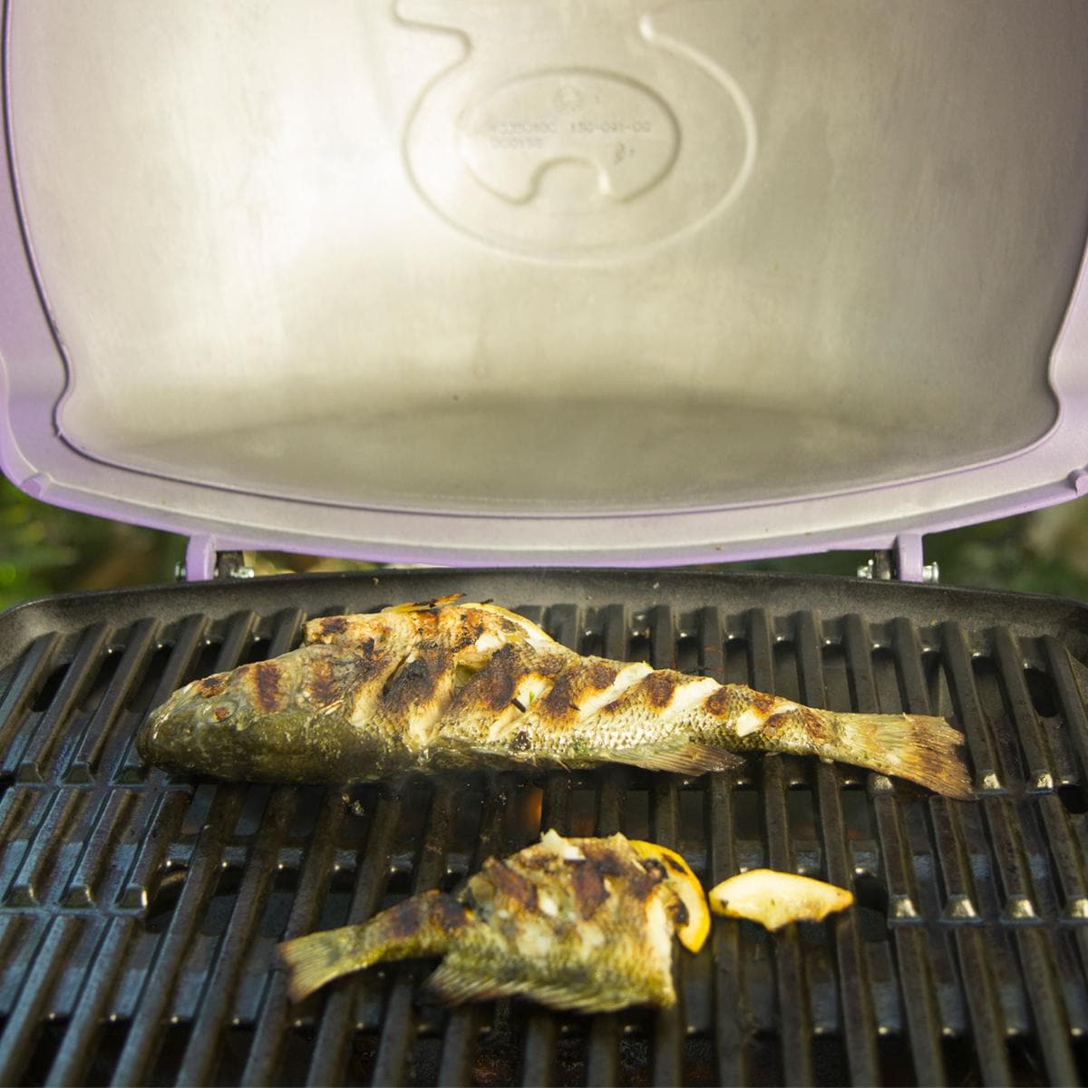 Weber Q 3200 propán gázgrill - titán - 57060001