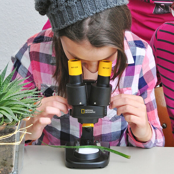 Binocluri Microscop