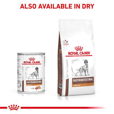 Pain gastro-intestinal faible en gras Royal Canin Vétérinaire pour chiens