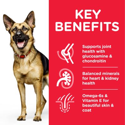 Hill's Science Plan Mature Adult 6+ Large Breed -koira, kanaa