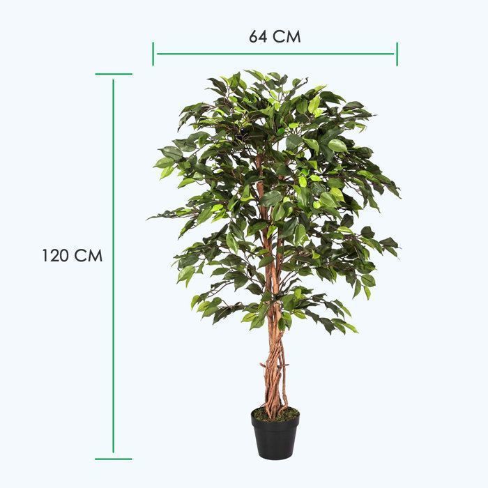 Ficus benjamina verde em vaso de 122 cm