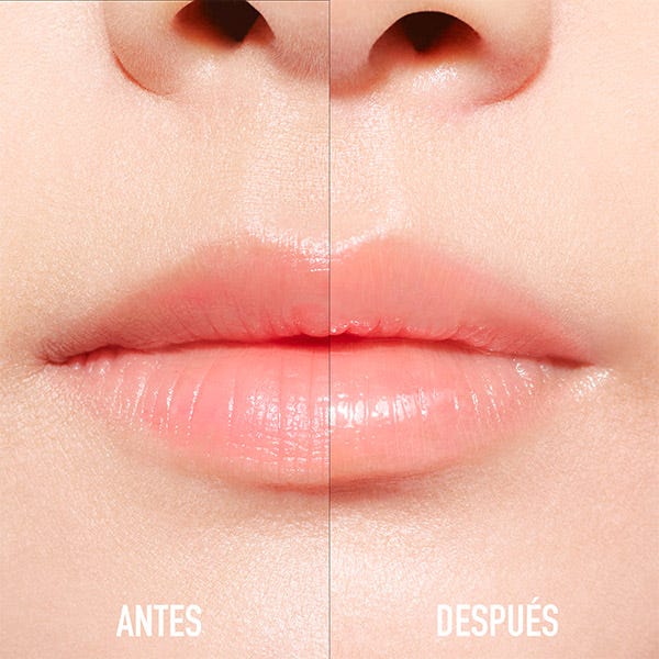 Dior Addict Lip Maximizer