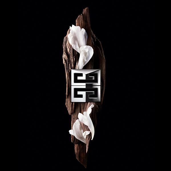 Gentleman Society Eau de Parfum Parfémy pre mužov